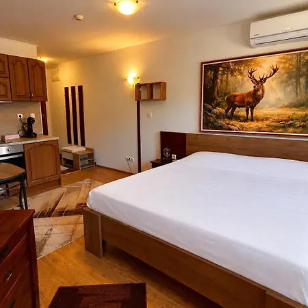 Templar Loft דירה *